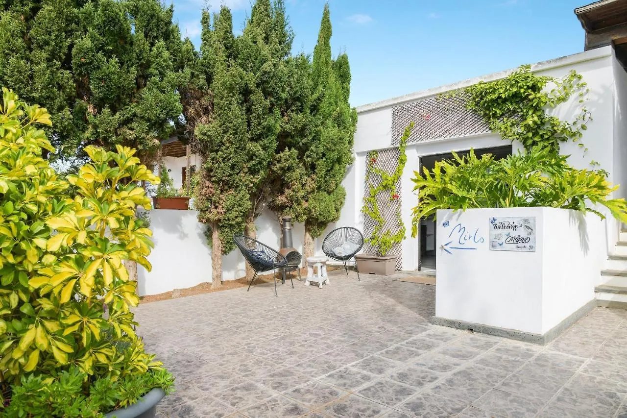 Mirlo Villa Nazaret Spain