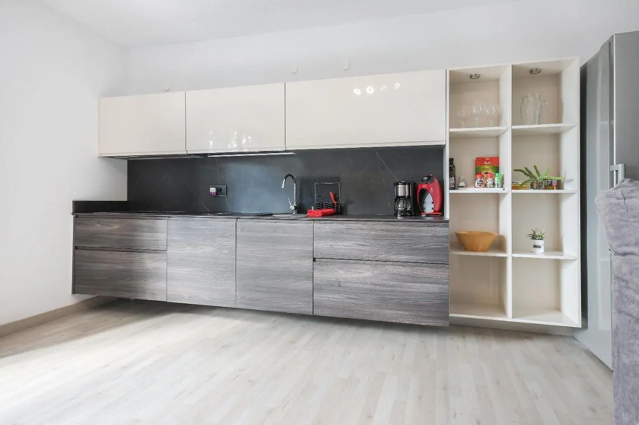 Mirlo Villa Nazaret